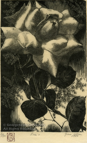 Rose (1936) - Grace Albee Tablo