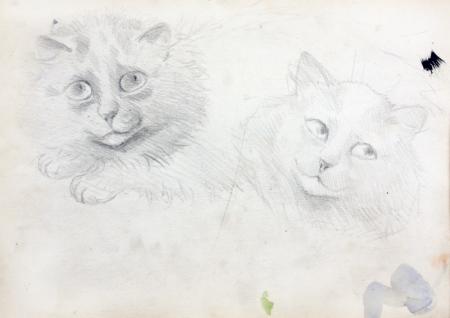 SKETCHES OF BURMESE CATS – Louis Wain Tablo