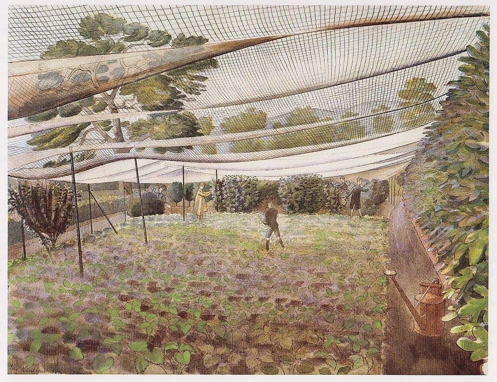 STRAWBERRY BED (1933) – Eric Ravilious Tablo