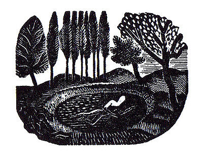 SWIMMER (1932) – Eric Ravilious Tablo