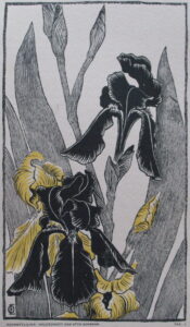 Otto Eckmann