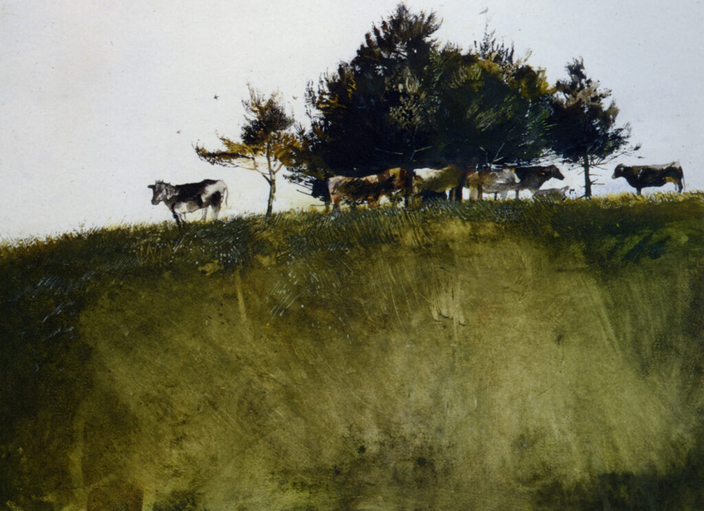 Shadey Trees - Andrew Wyeth Tablo
