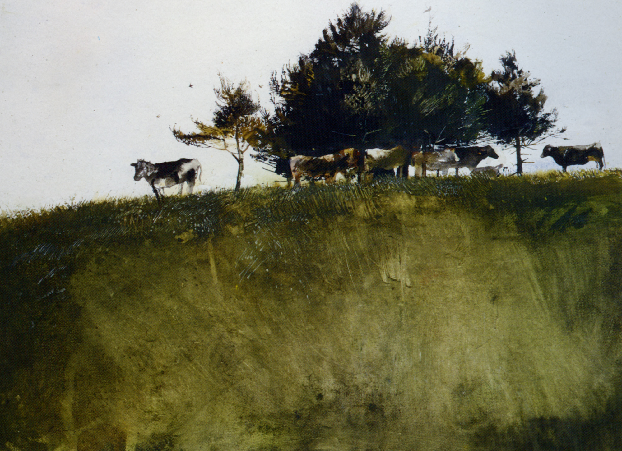 Shadey Trees - Andrew Wyeth Tablo
