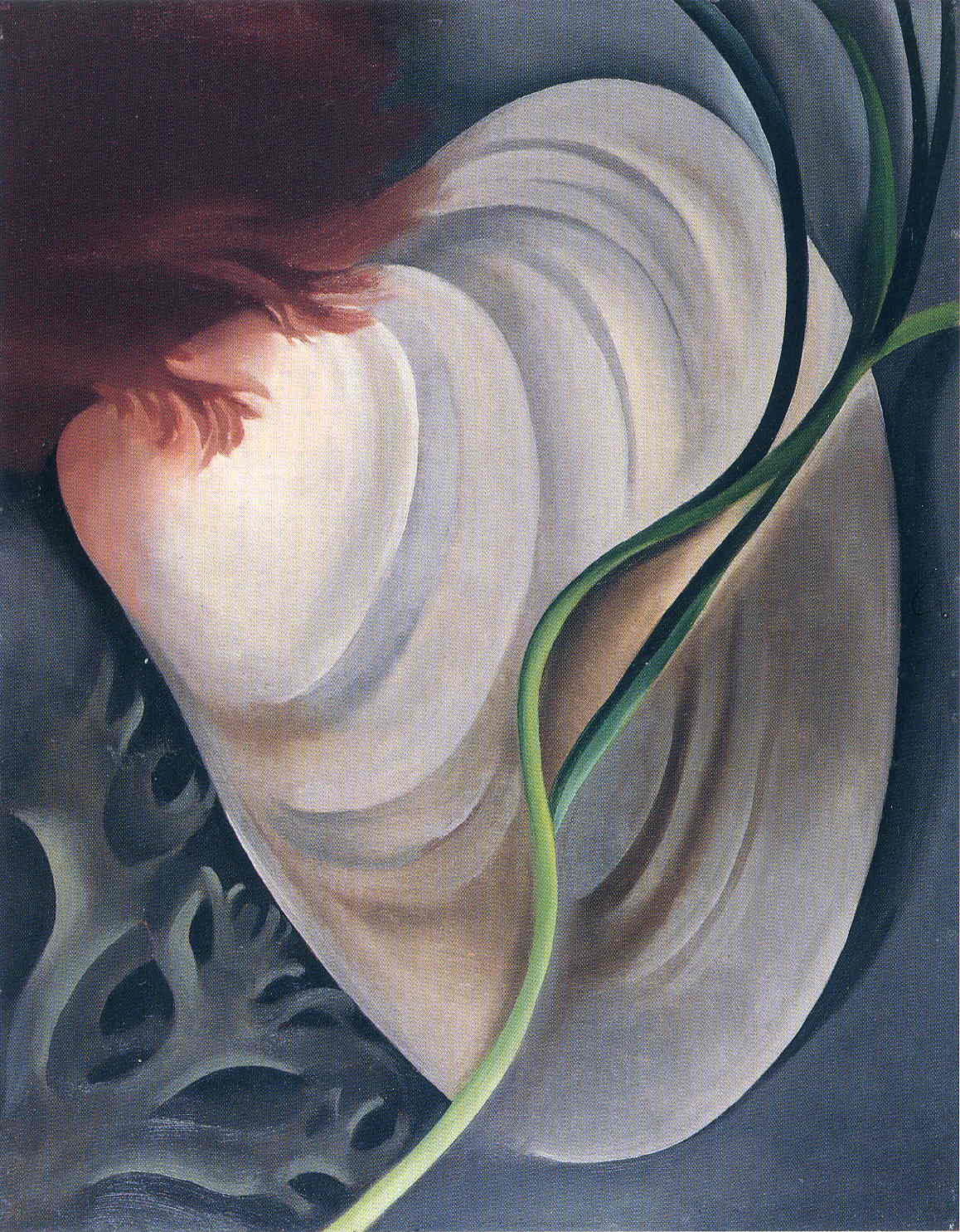 Shell No 2 - Georgia O'Keeffe Tablo