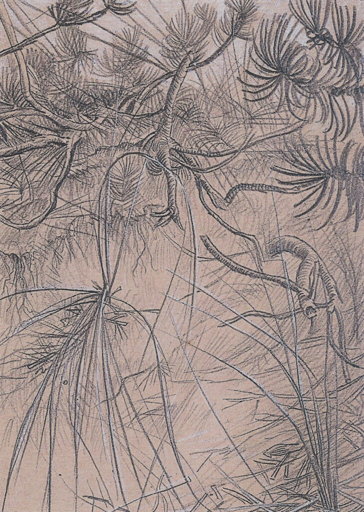 Sketches after Nature (1930) - Hans Bellmer Tablo