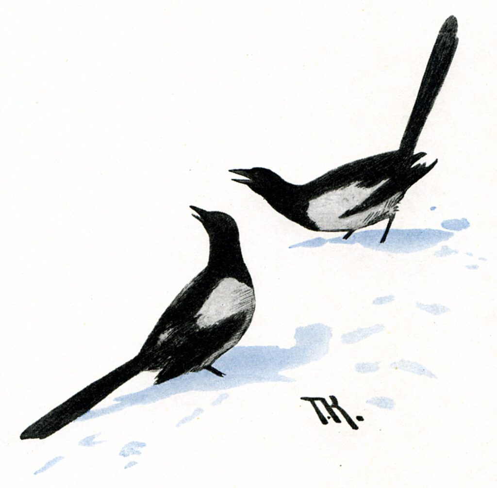 Skjaerer - Theodor Severin Kittelsen Tablo