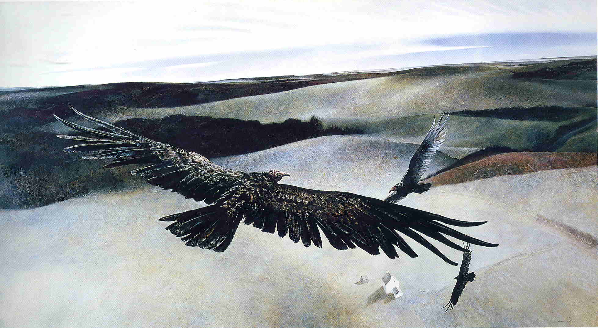 Soaring - Andrew Wyeth Tablo