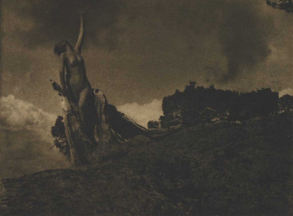 Soul of the Blasted Pine (1909) - Anne Brigman Tablo