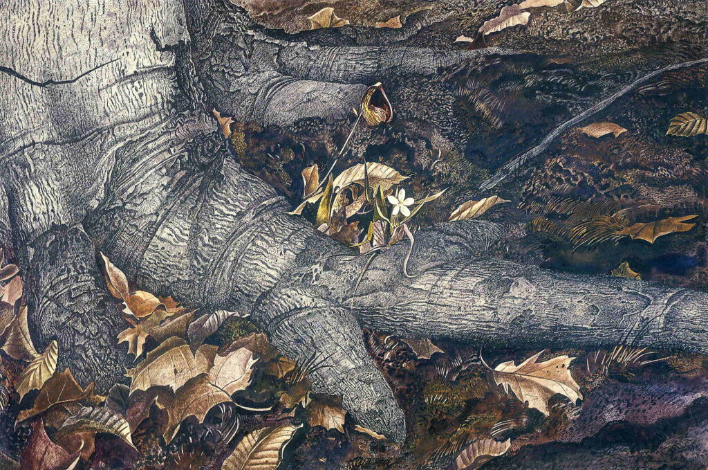 Spring Beauty - Andrew Wyeth Tablo