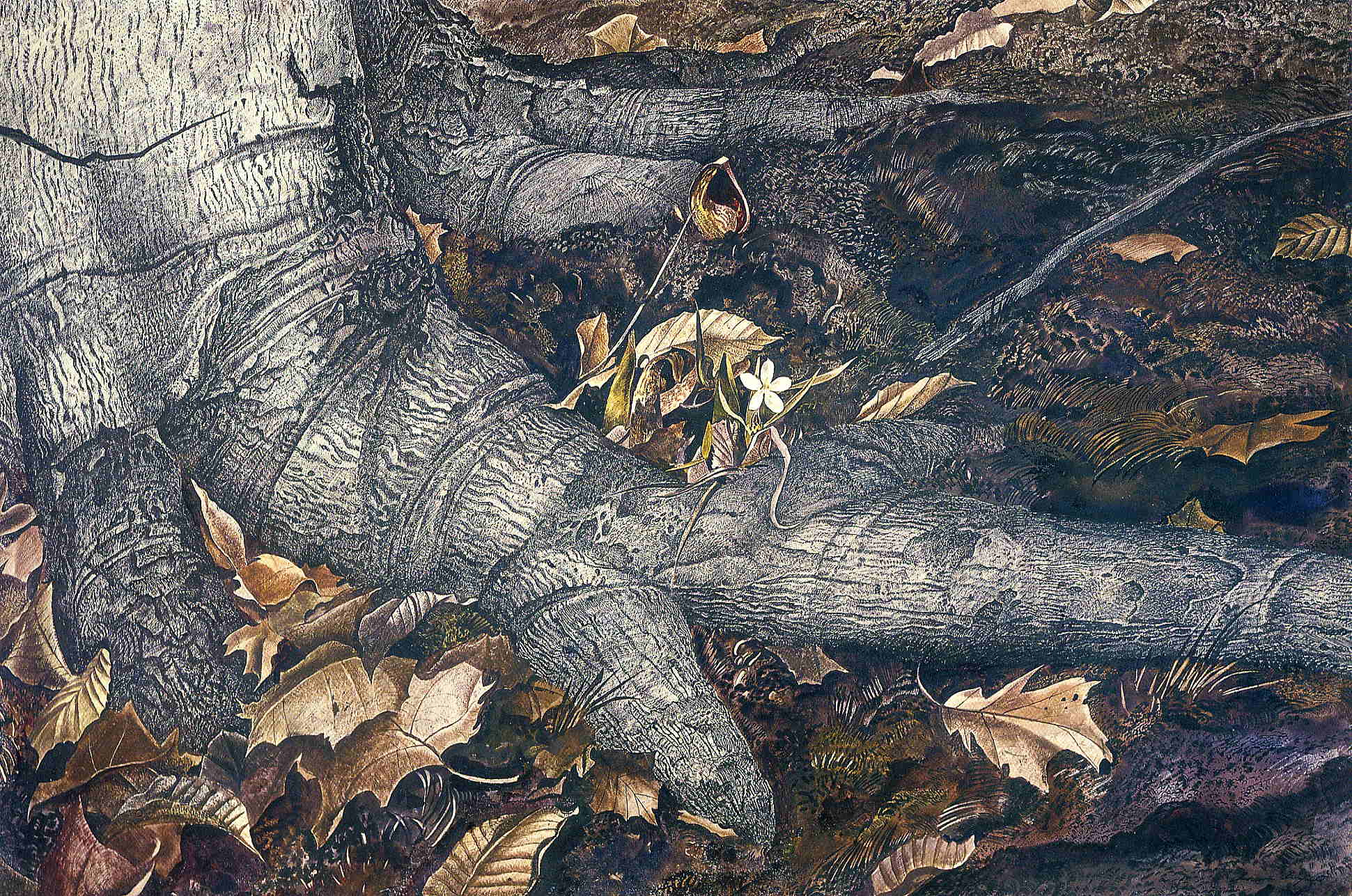 Spring Beauty - Andrew Wyeth Tablo