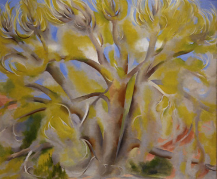 Spring Tree No. 1 (1945) - Georgia O'Keeffe Tablo
