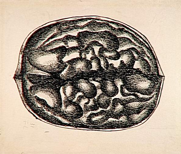 Study nuts (1931) - Fernand Léger Tablo