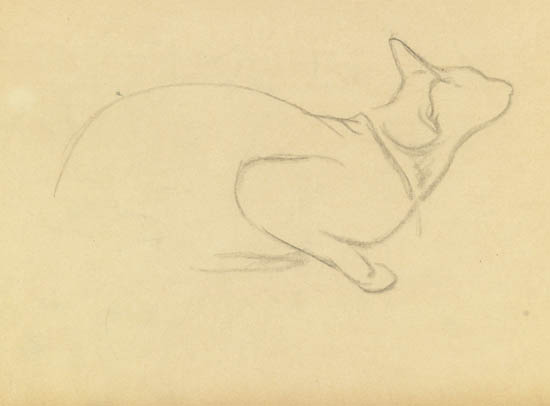 Study of a cat – Théophile Steinlen Tablo