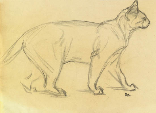 Study of a cat walking – Théophile Steinlen Tablo