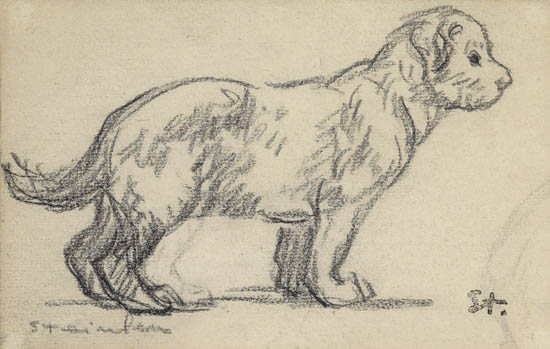 Study of a puppy – Théophile Steinlen Tablo