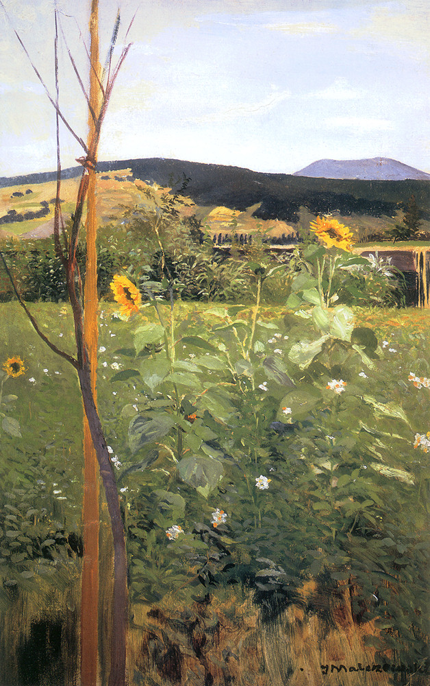 Sunflowers - Jacek Malczewski Tablo