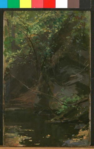 Tůň Pod Skalou – Maximilian Pirner Tablo