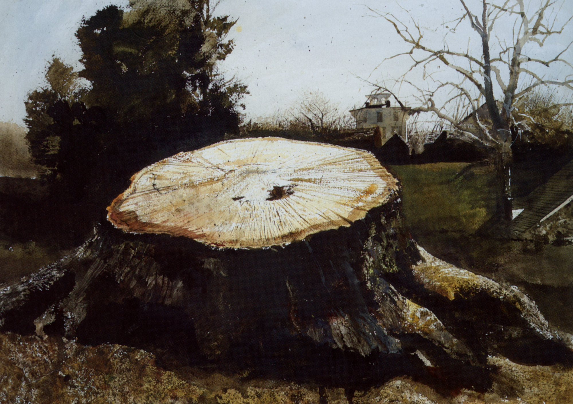 The Big Oak - Andrew Wyeth Tablo