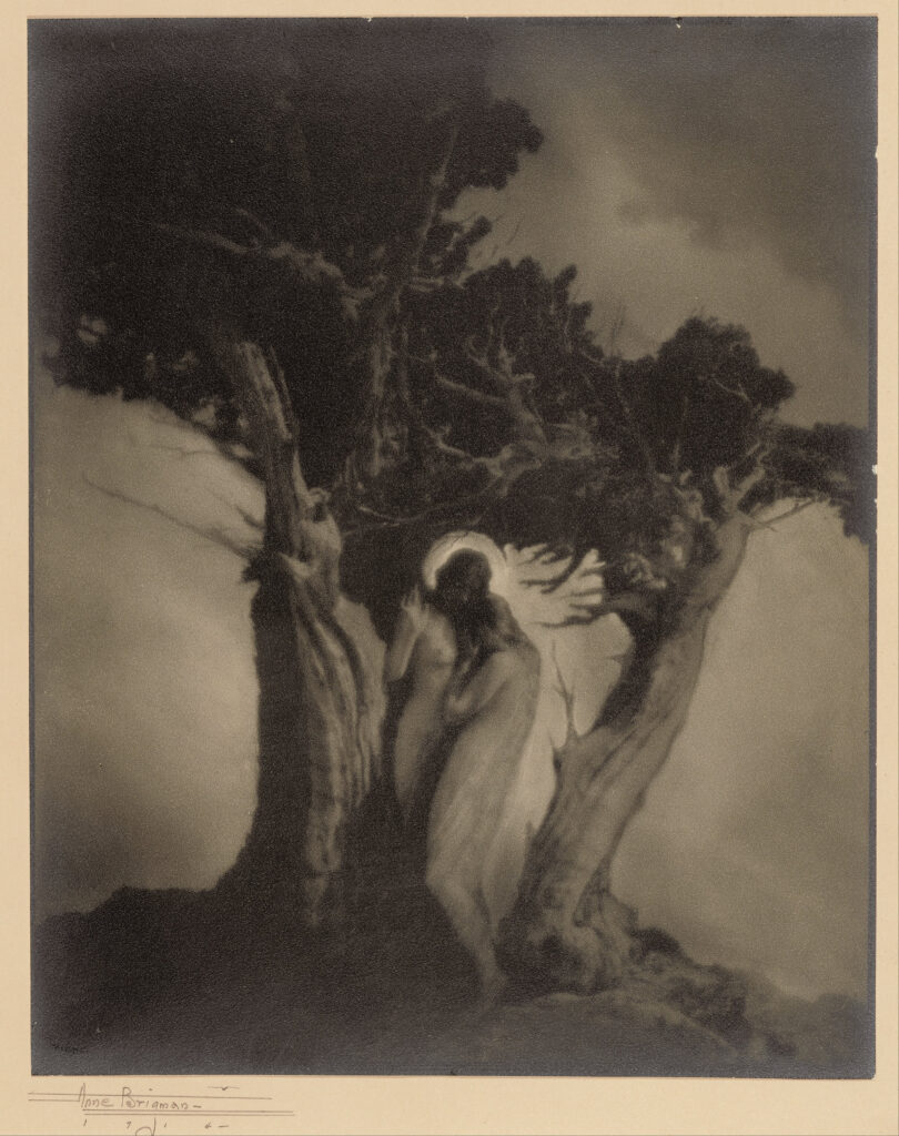 The Heart of the Storm (1914) - Anne Brigman Tablo