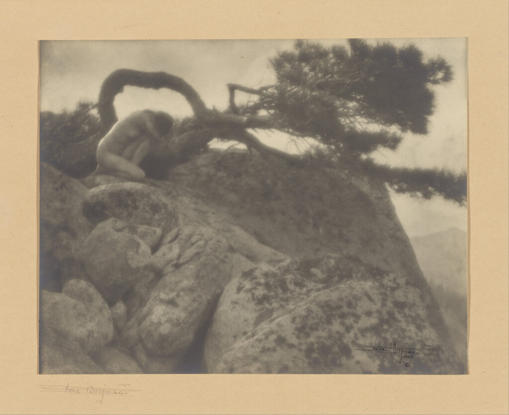 The Lone Pine - Anne Brigman Tablo