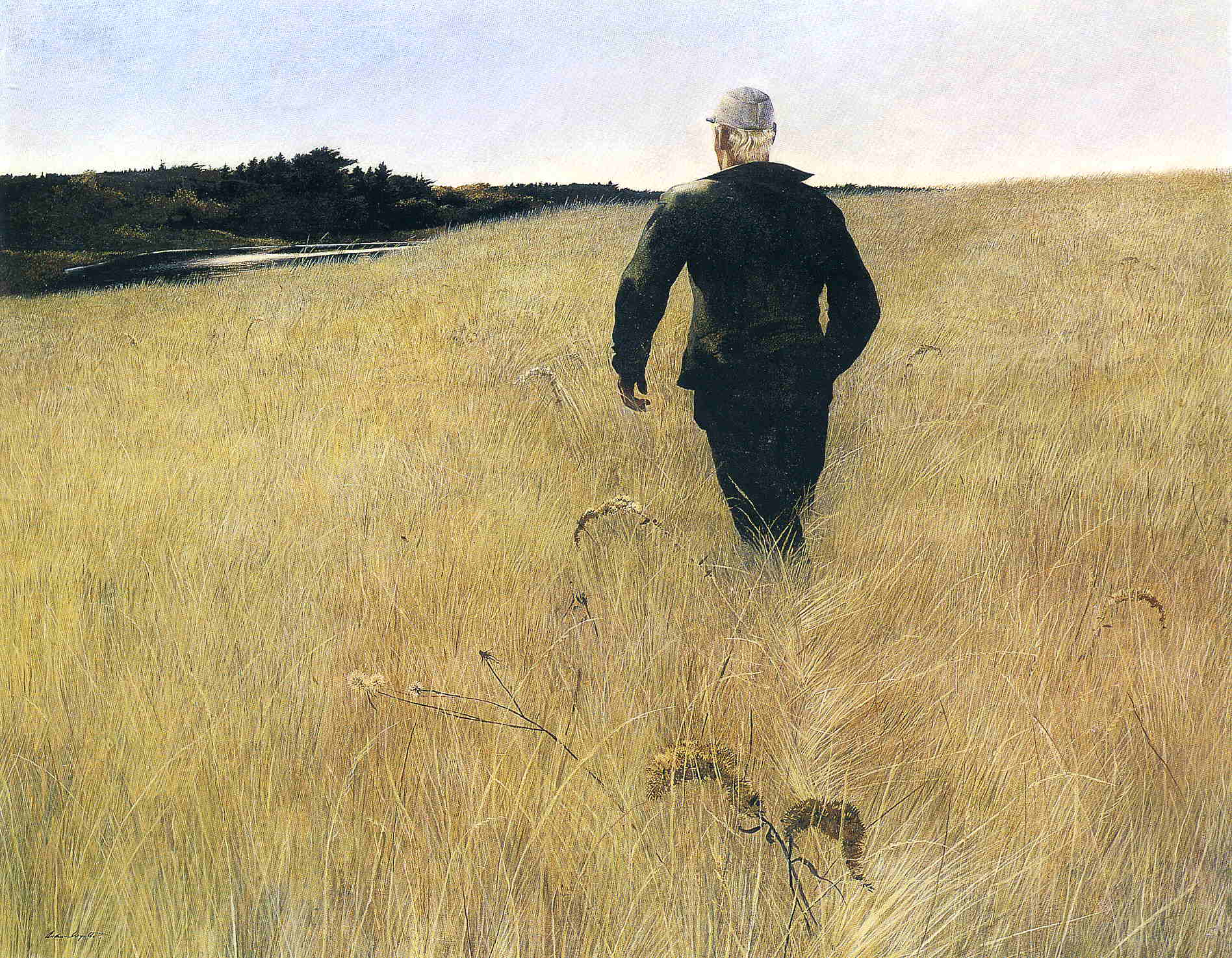 Turkey Pond - Andrew Wyeth Tablo