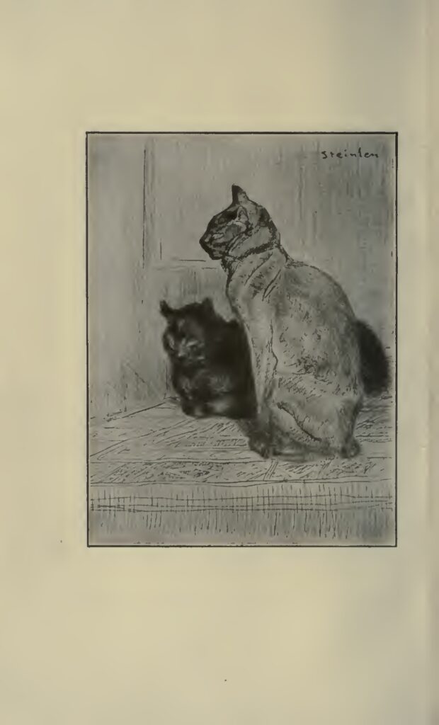 Two cats (1914) - Théophile Steinlen Tablo