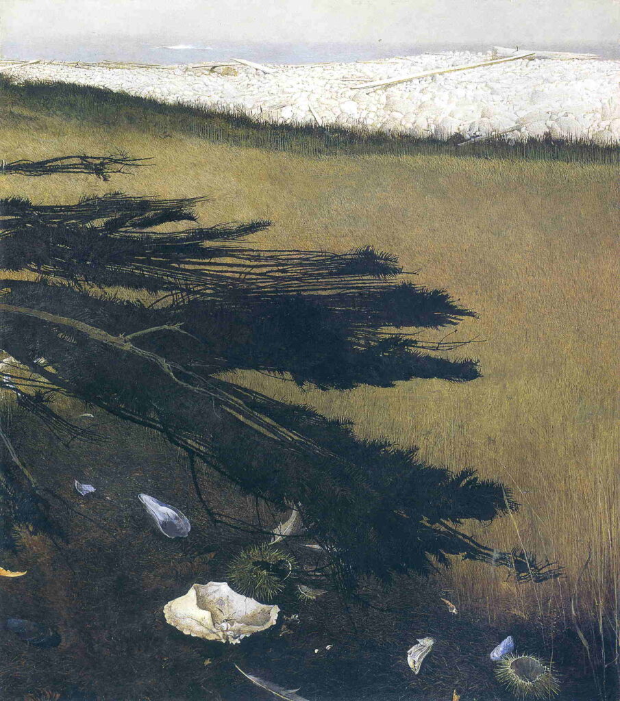 İsimsiz - Andrew Wyeth Tablo