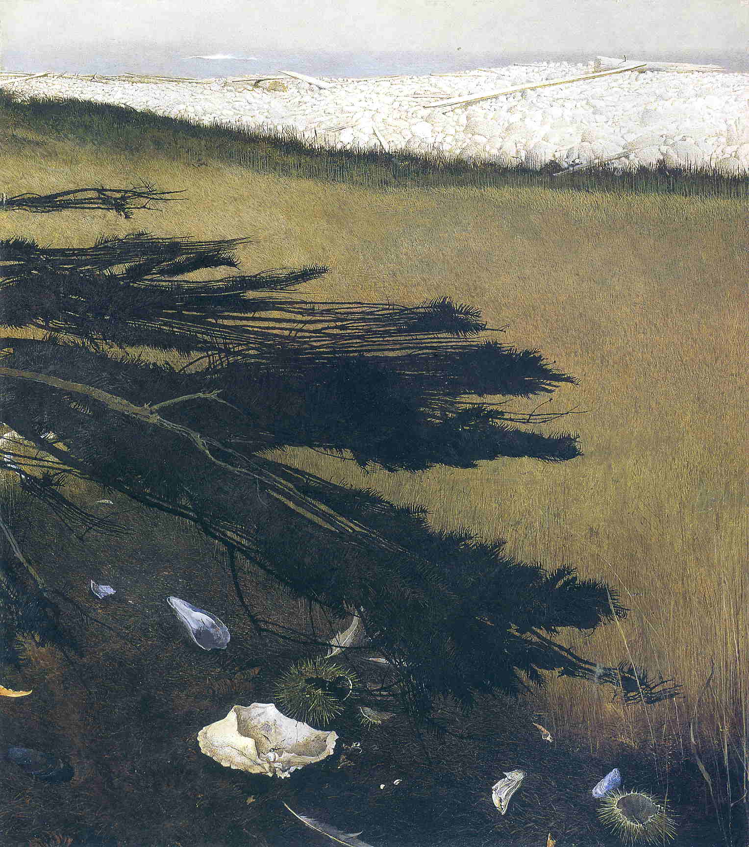 İsimsiz - Andrew Wyeth Tablo