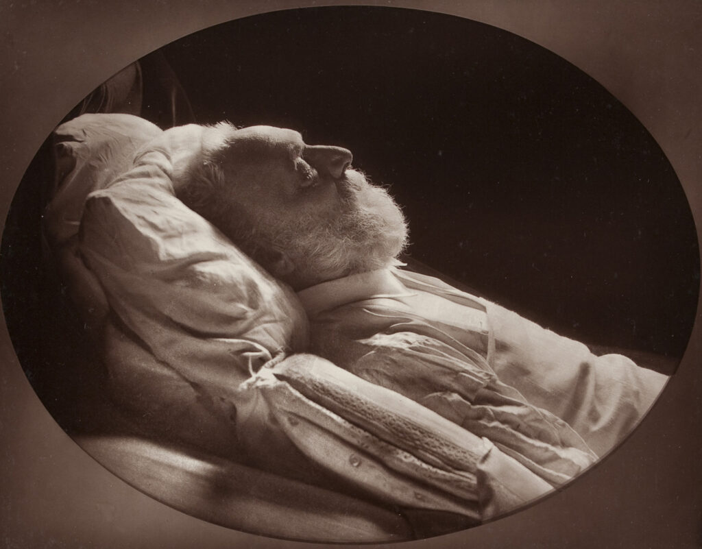 Victor Hugo (1885) - Félix Nadar Tablo