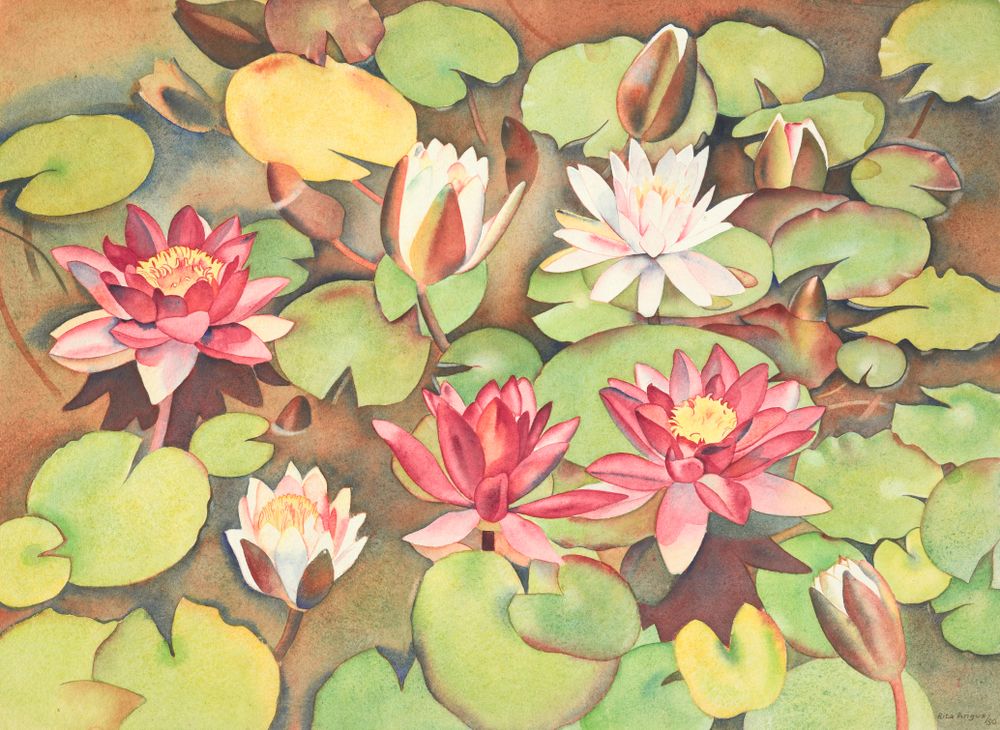 Waterlilies (1950) - Rita Angus Tablo