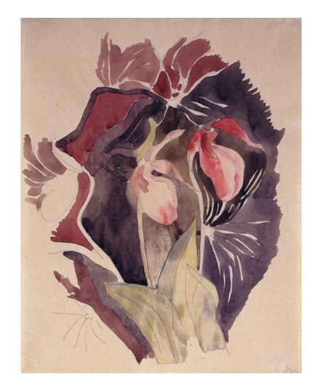 Wild Orchids (1920) - Charles Demuth Tablo