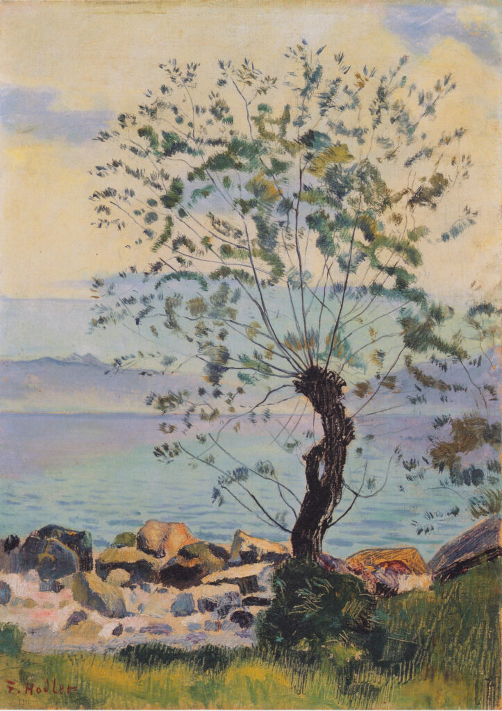 Willow tree by the lake (1890) - Ferdinand Hodler Tablo