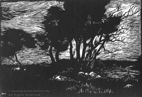 Willows at Straitsmouth (1927) - Grace Albee Tablo