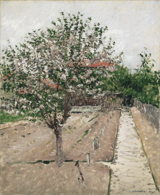 Apple Tree in Blossom (1885) - Gustave Caillebotte Tablo