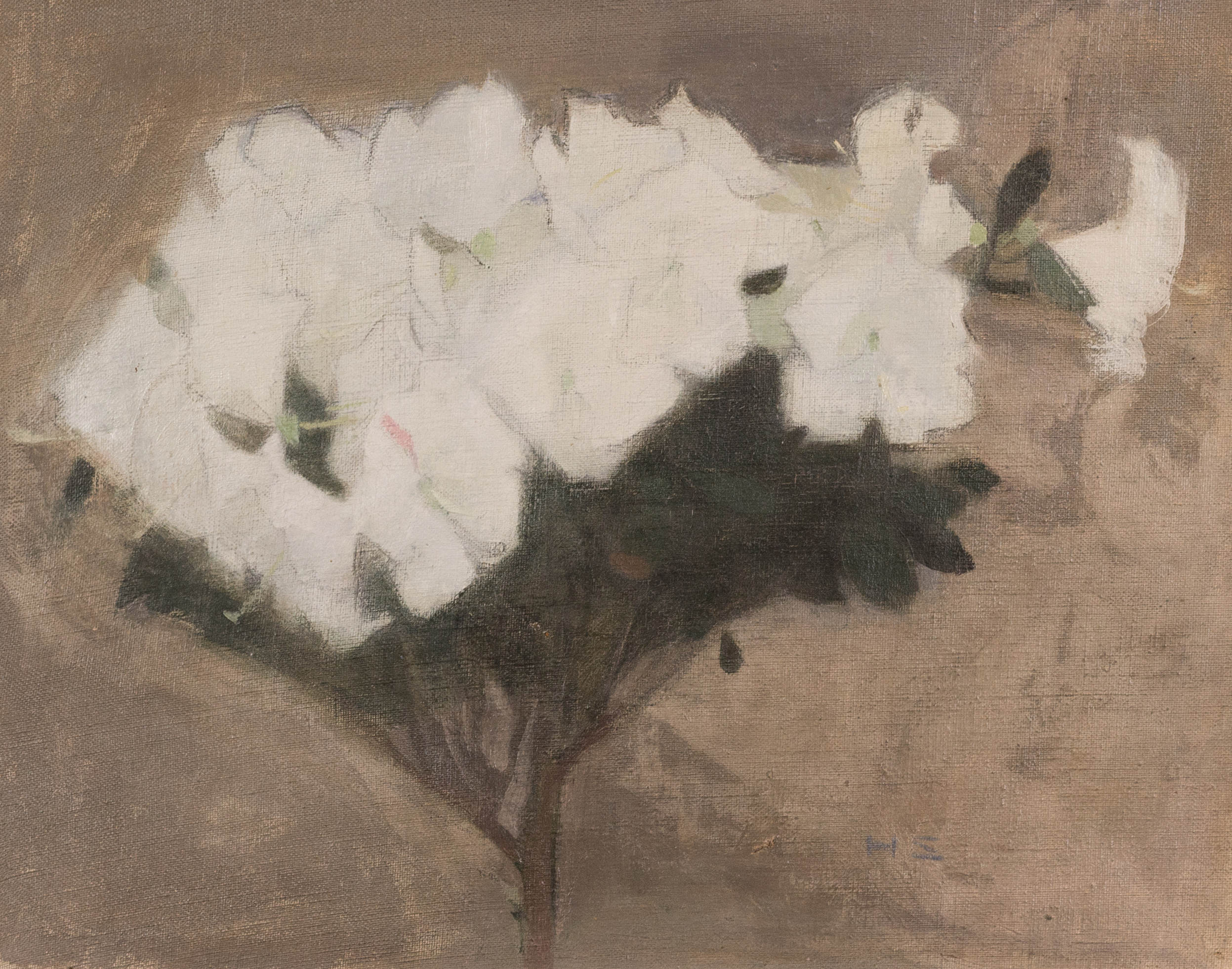 Azaleas (1904) - Helene Schjerfbeck Tablo