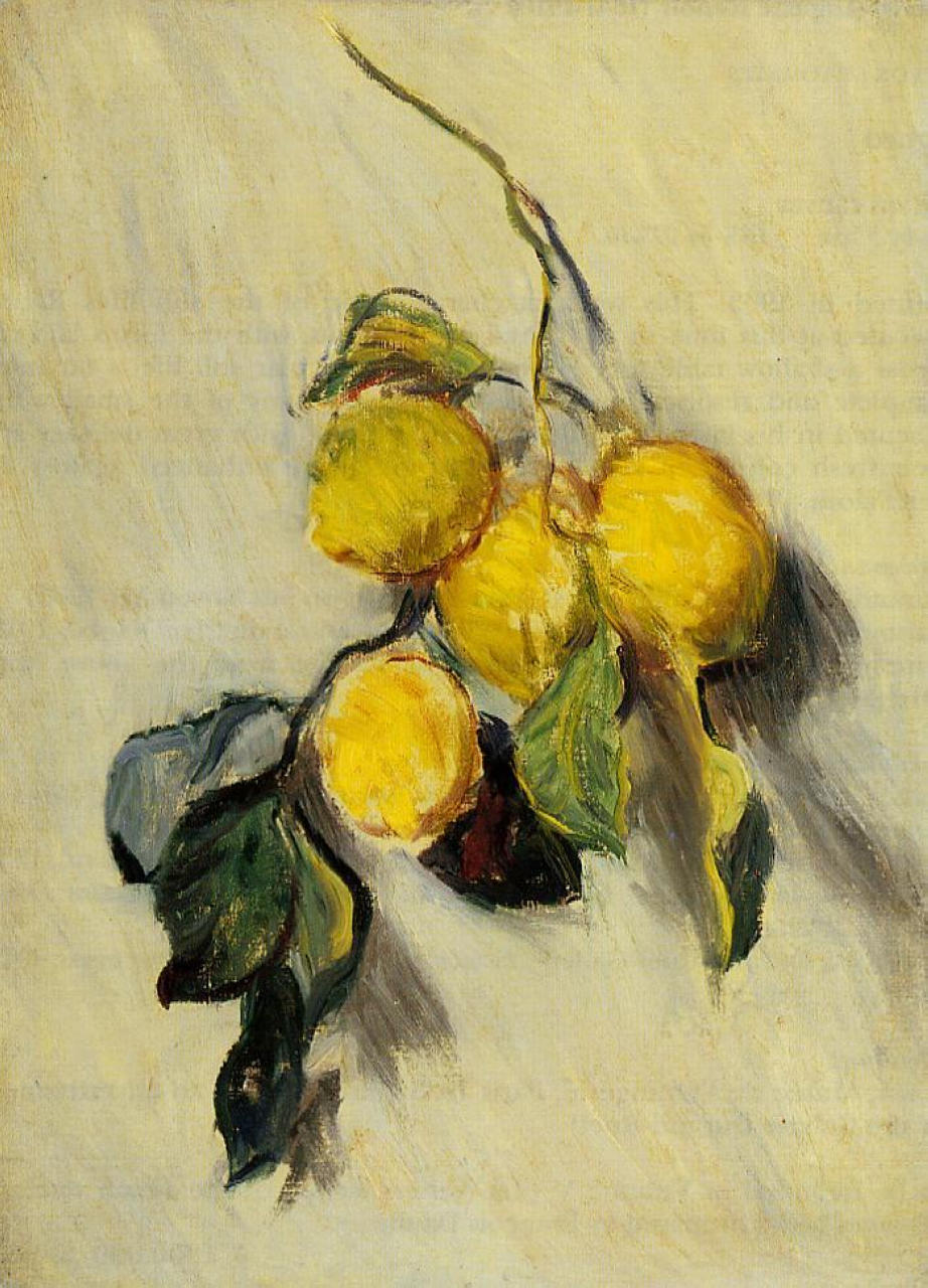 Branch of Lemons (1883) - Claude Monet Tablo