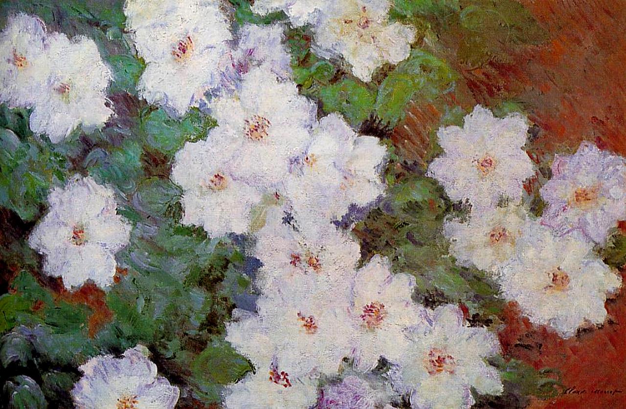 Clematis (1897) - Claude Monet Tablo