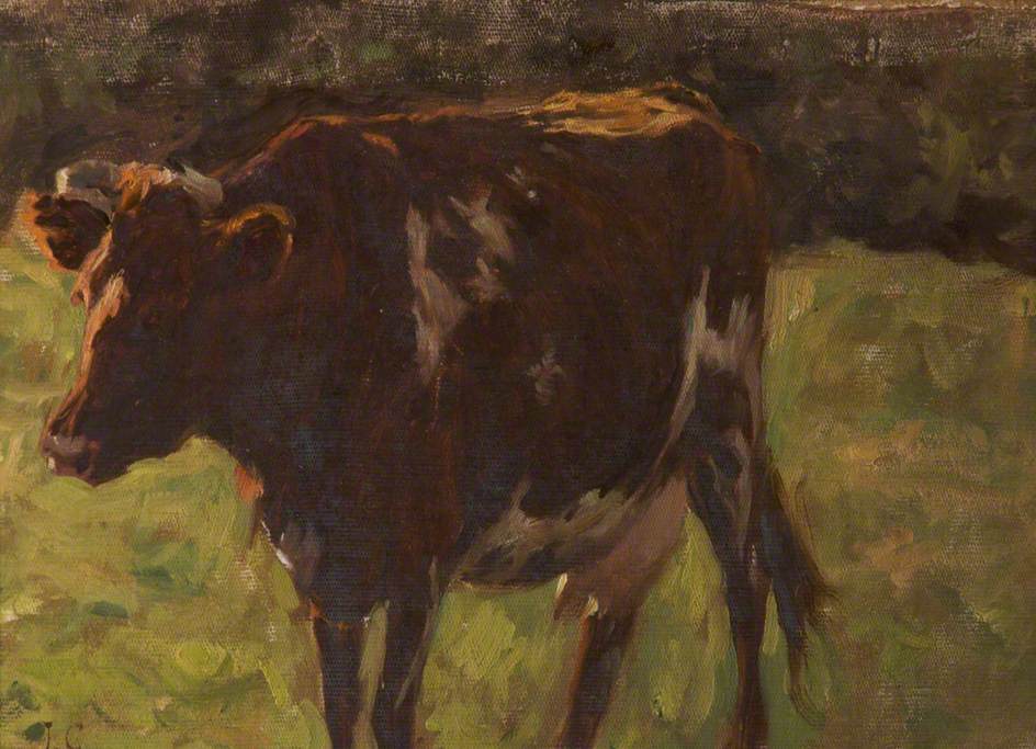 Cow - James Charles Tablo