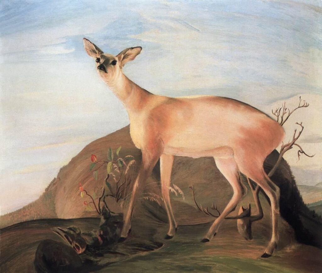 Deer (1893) - Tivadar Kosztka Csontváry Tablo