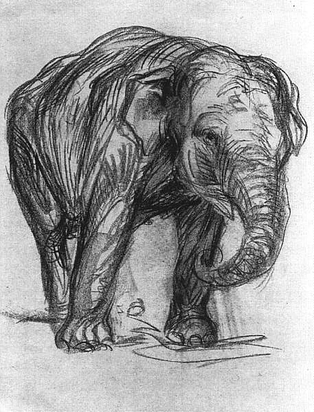 Elephant (1907) - Franz Marc Tablo