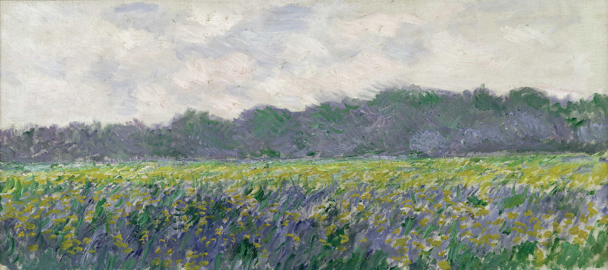 Field of Yellow Irises at Giverny (1887) - Claude Monet Tablo