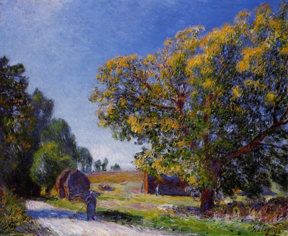 Fields around the Forest (1895) - Alfred Sisley Tablo