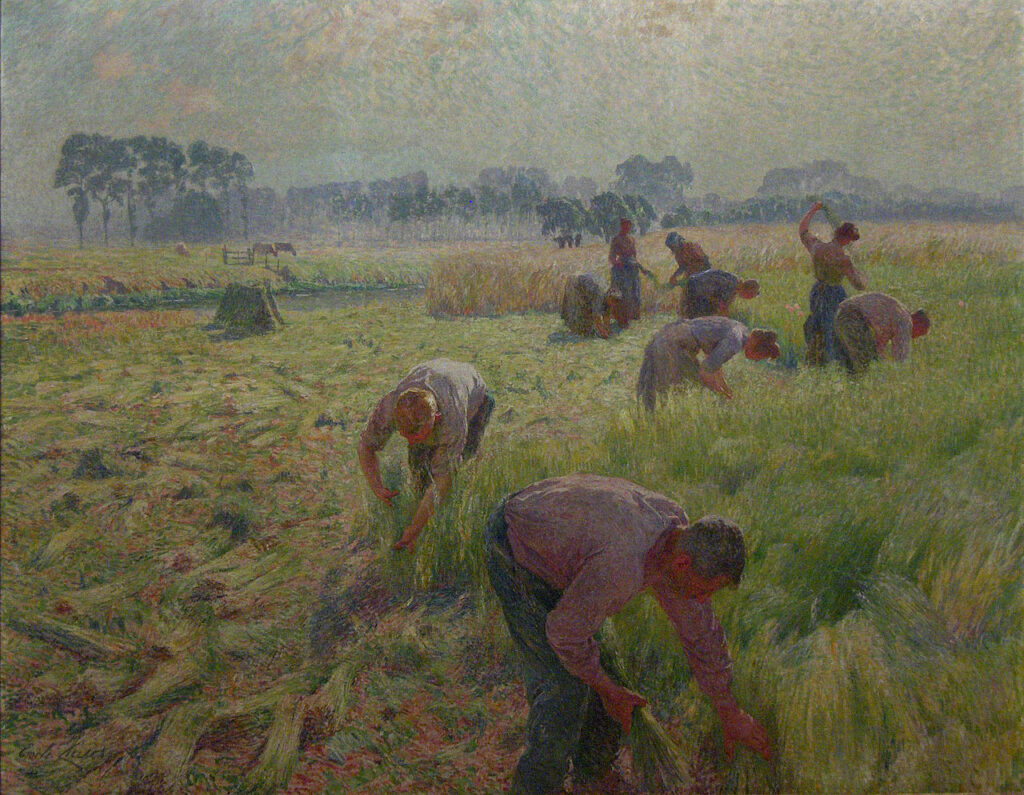 Flax harvesting (1904) – Emile Claus Tablo