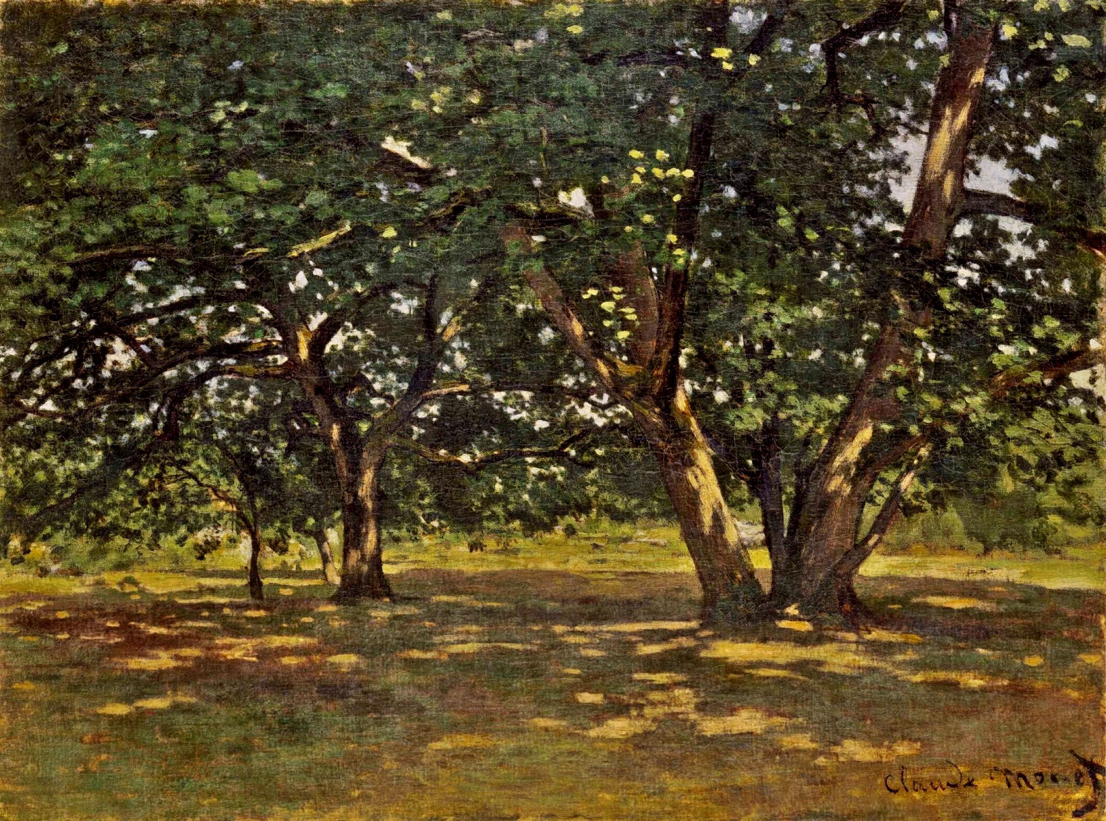 Fontainebleau Forest (1865) - Claude Monet Tablo