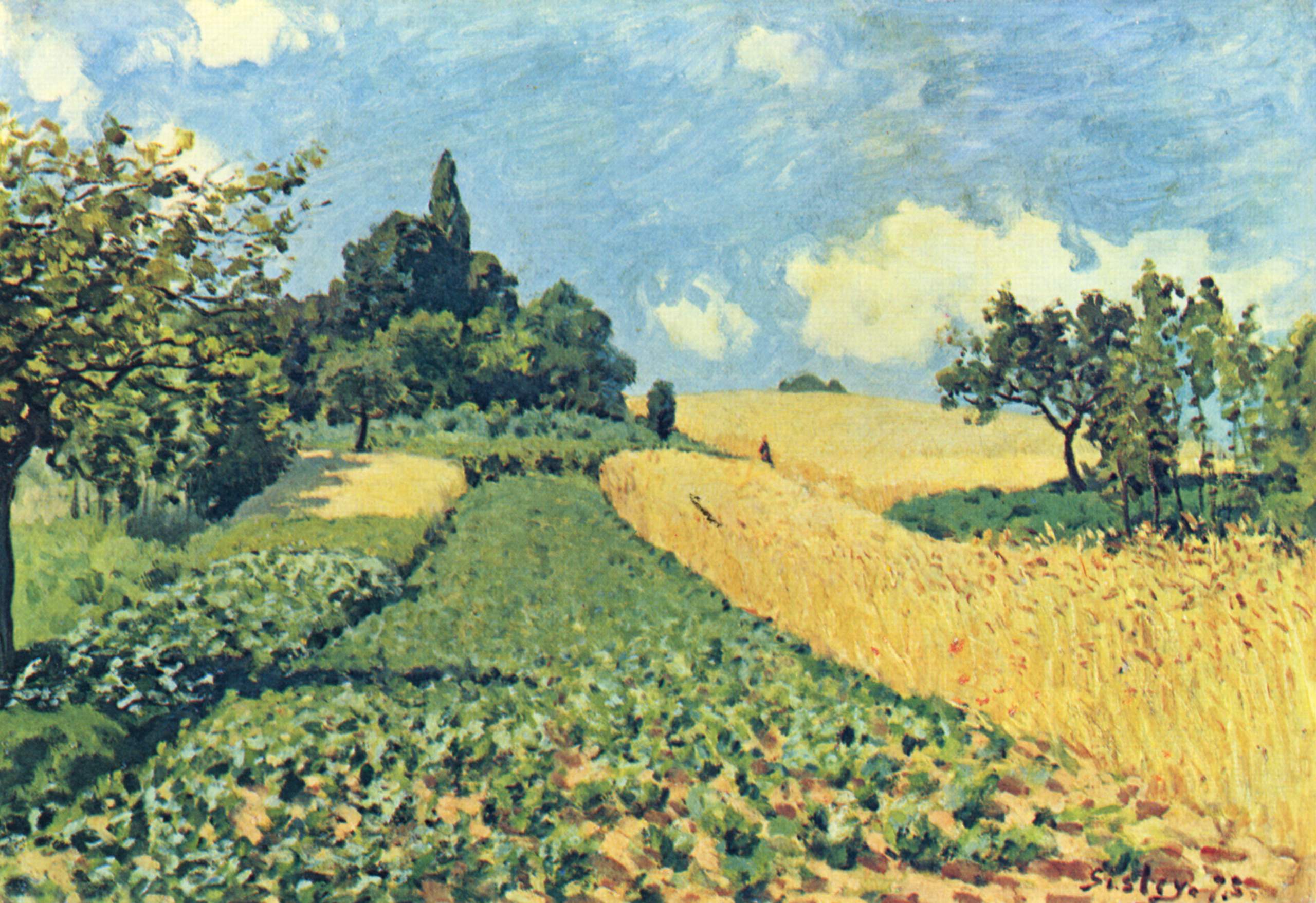 Grain fields on the hills of Argenteuil (1873) - Alfred Sisley Tablo
