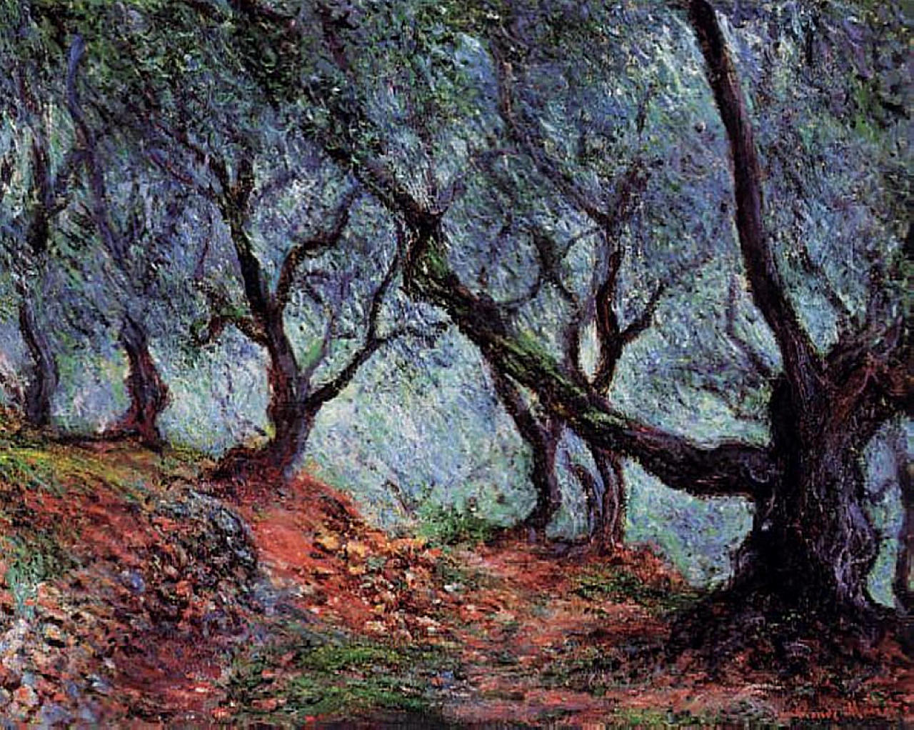 Grove of Olive Trees in Bordighera (1884) - Claude Monet Tablo