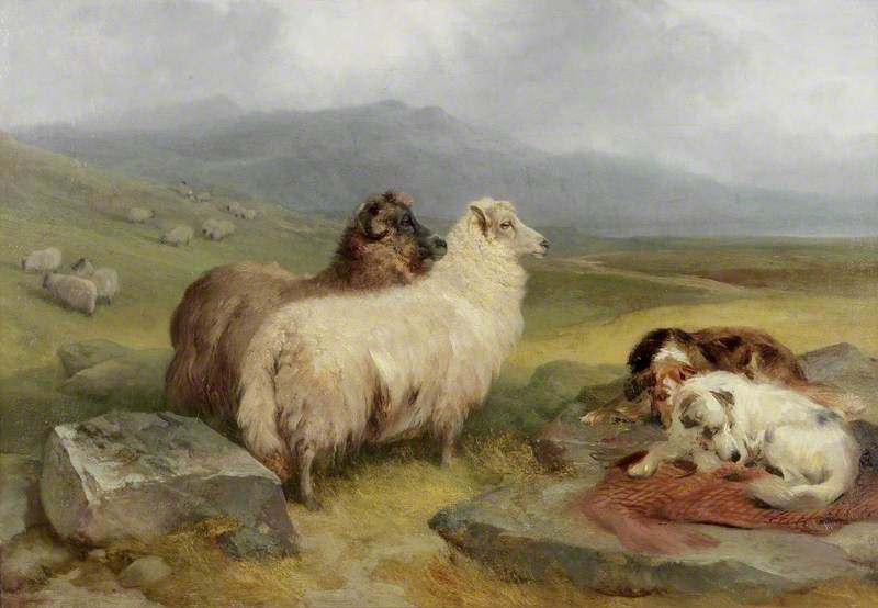 Highland Landscape with Sheep and Dogs - James Campbell Noble Tablo