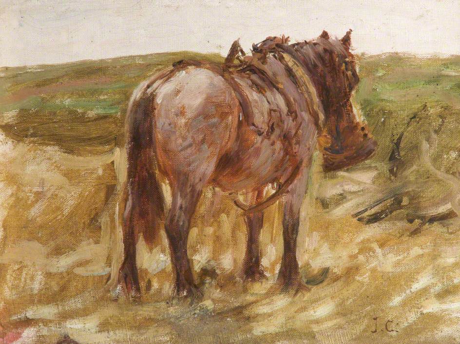 Horse - James Charles Tablo