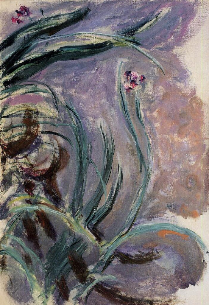Irises (1914) - Claude Monet Tablo