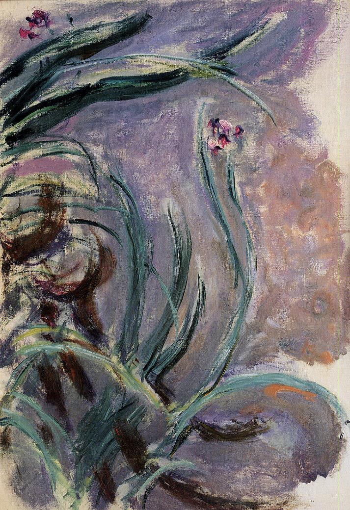 Irises (1914) - Claude Monet Tablo